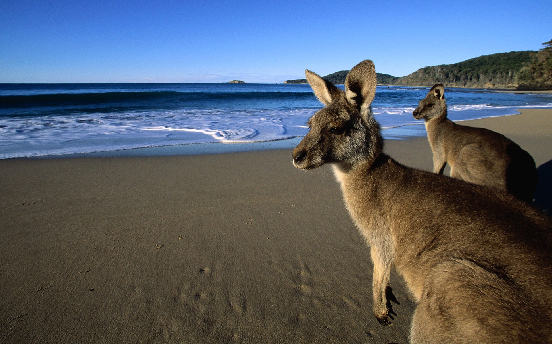 wilderness-australia-touring-treasures